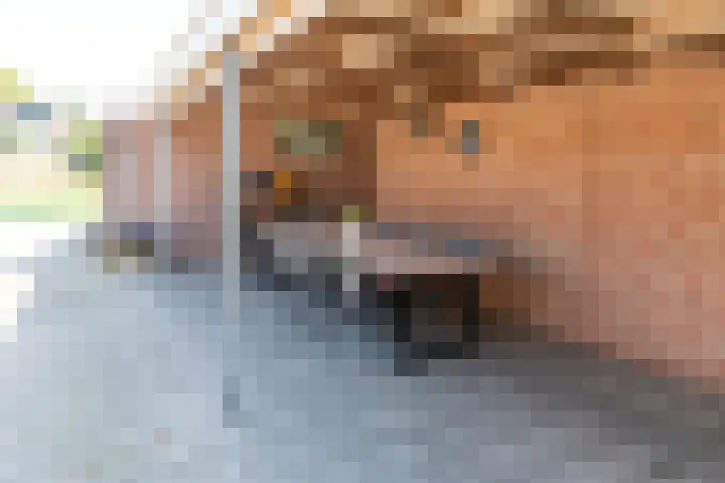 Hoofdstraat 19 Kesteren thumbnail 93