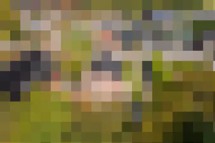 Hoofdstraat 19 't Zandt thumbnail 10