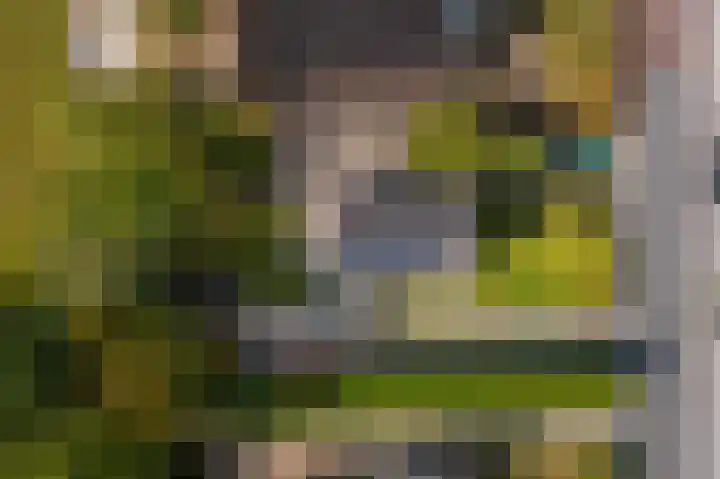 Hoofdstraat 19 't Zandt thumbnail 11