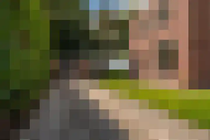 Hoofdstraat 19 't Zandt thumbnail 17
