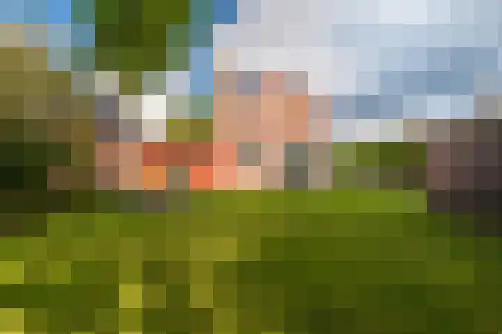 Hoofdstraat 19 't Zandt thumbnail 19