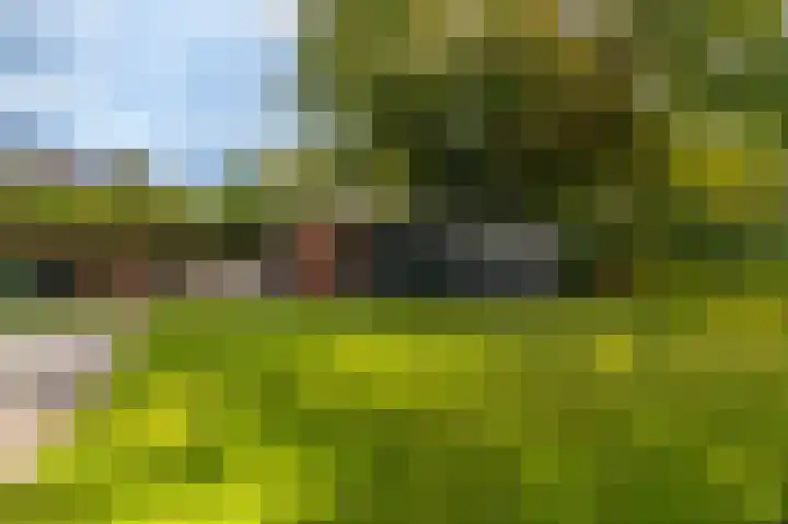 Hoofdstraat 19 't Zandt thumbnail 21