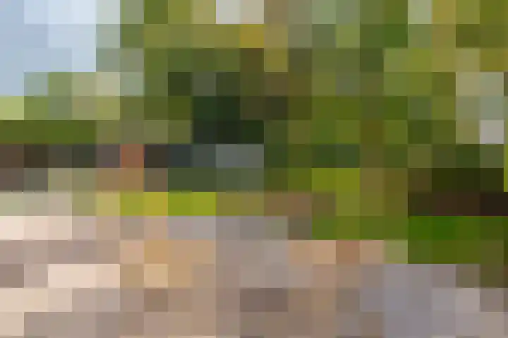 Hoofdstraat 19 't Zandt thumbnail 23