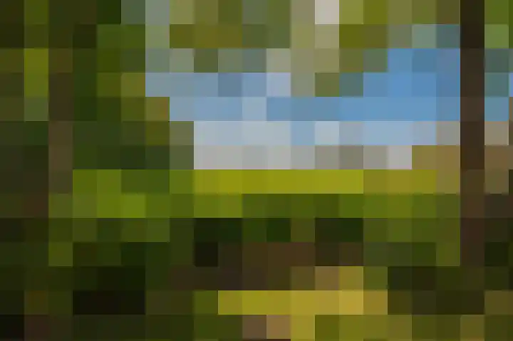 Hoofdstraat 19 't Zandt thumbnail 24