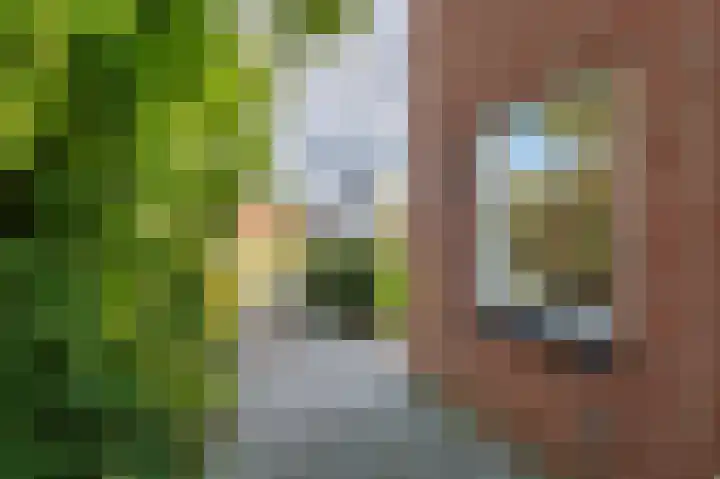 Hoofdstraat 19 't Zandt thumbnail 25