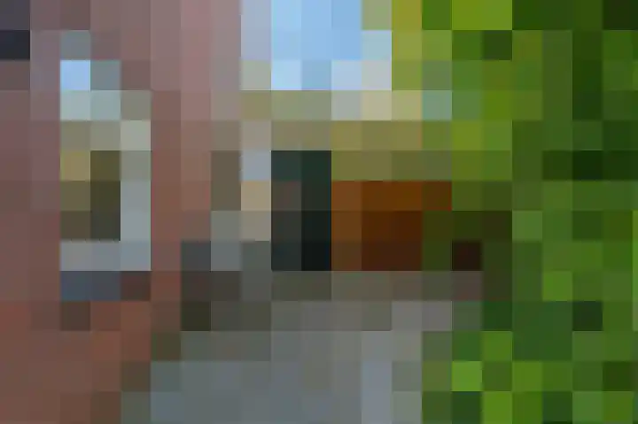 Hoofdstraat 19 't Zandt thumbnail 26