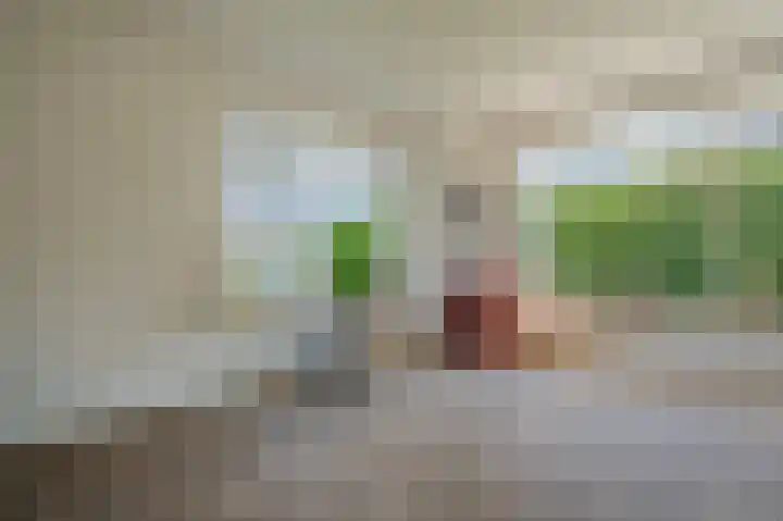 Hoofdstraat 19 't Zandt thumbnail 38