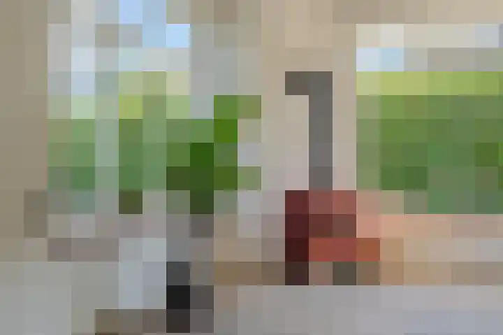 Hoofdstraat 19 't Zandt thumbnail 39