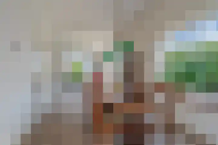 Hoofdstraat 19 't Zandt thumbnail 41