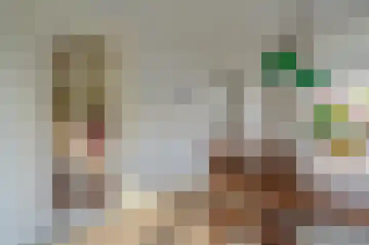 Hoofdstraat 19 't Zandt thumbnail 44