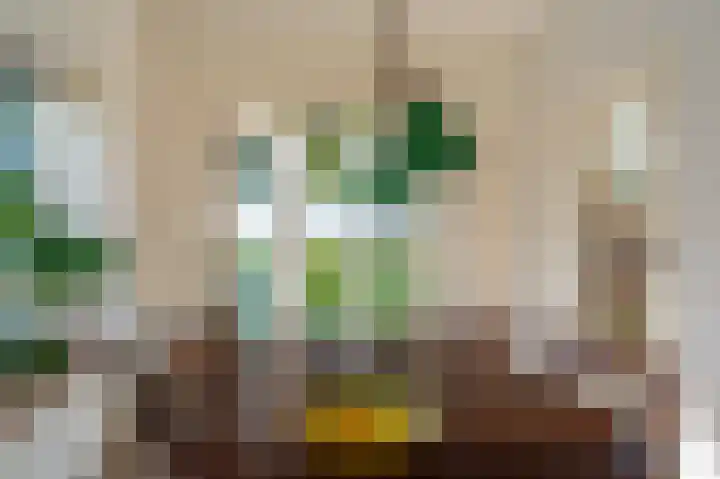 Hoofdstraat 19 't Zandt thumbnail 45