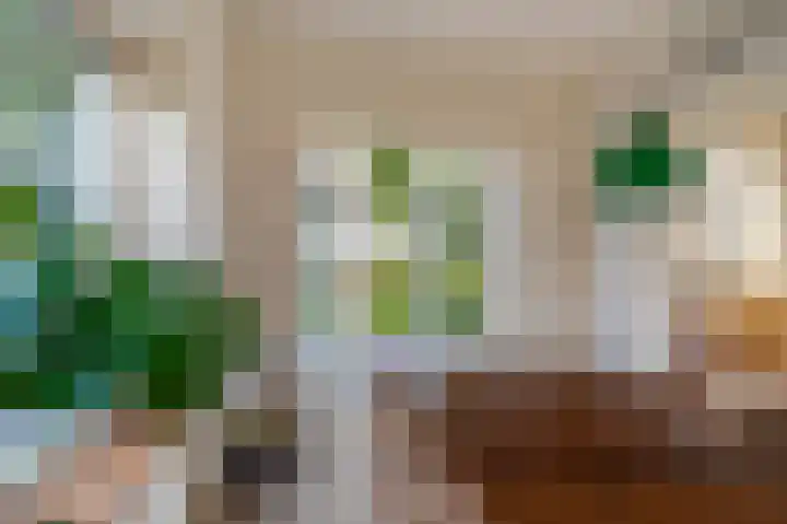 Hoofdstraat 19 't Zandt thumbnail 46