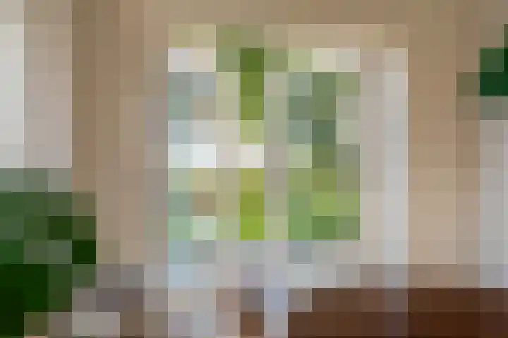 Hoofdstraat 19 't Zandt thumbnail 47