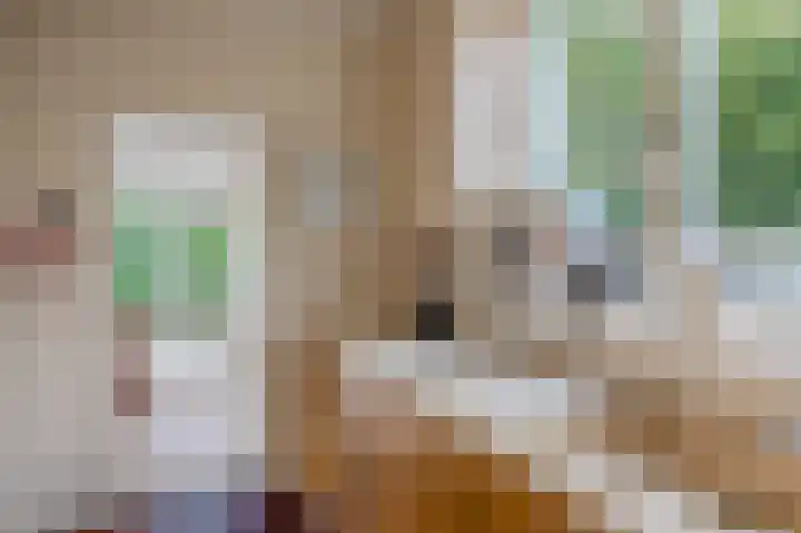 Hoofdstraat 19 't Zandt thumbnail 51