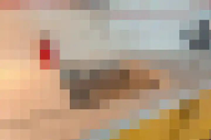 Hoofdstraat 19 't Zandt thumbnail 52