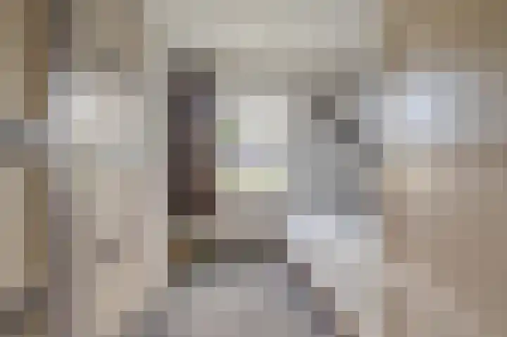 Hoofdstraat 19 't Zandt thumbnail 61