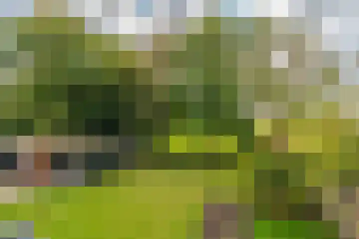 Hoofdstraat 19 't Zandt thumbnail 66