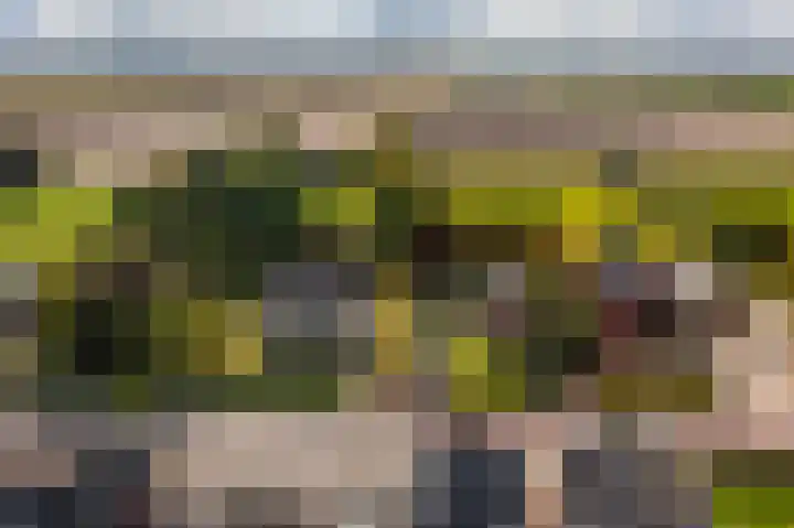 Hoofdstraat 19 't Zandt thumbnail 7
