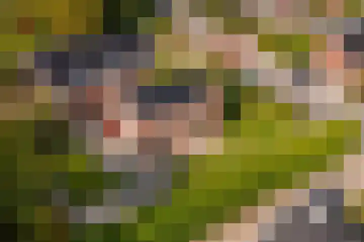 Hoofdstraat 19 't Zandt thumbnail 8