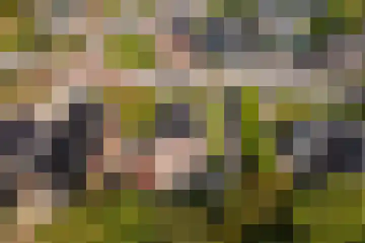 Hoofdstraat 19 't Zandt thumbnail 9