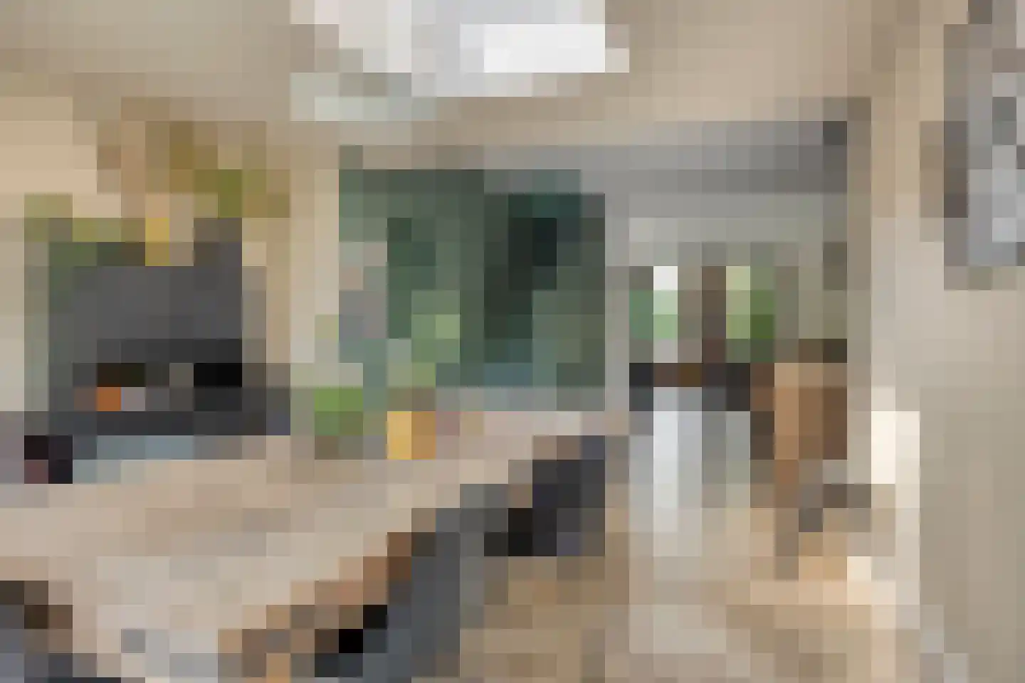 Hoofdstraat 19 Terheijden thumbnail 10