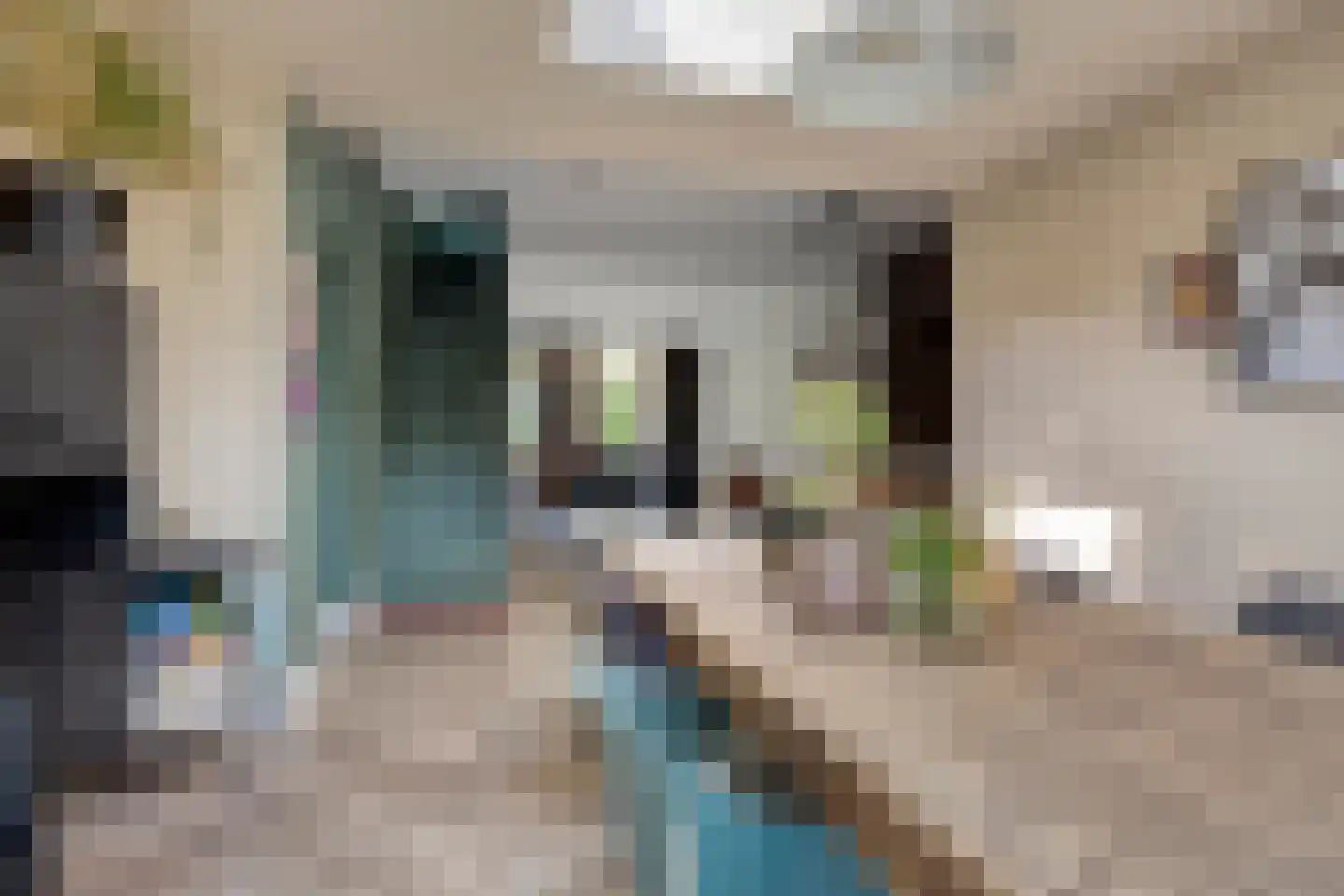 Hoofdstraat 19 Terheijden thumbnail 11