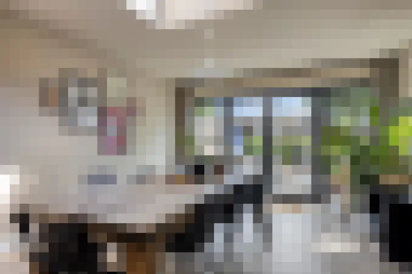 Hoofdstraat 19 Terheijden thumbnail 12