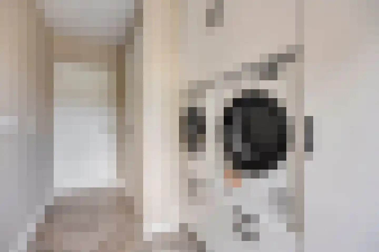 Hoofdstraat 19 Terheijden thumbnail 21