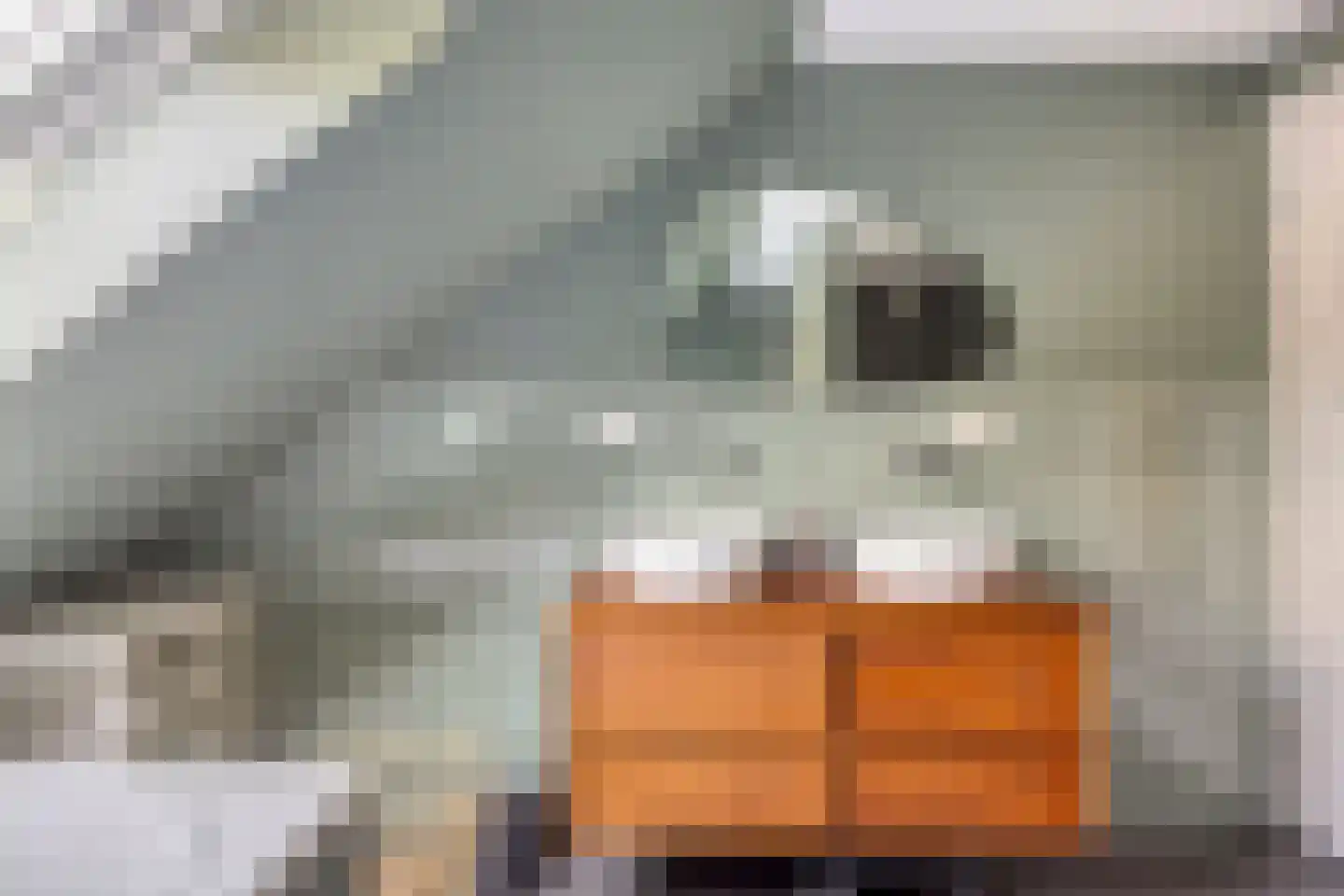 Hoofdstraat 19 Terheijden thumbnail 27