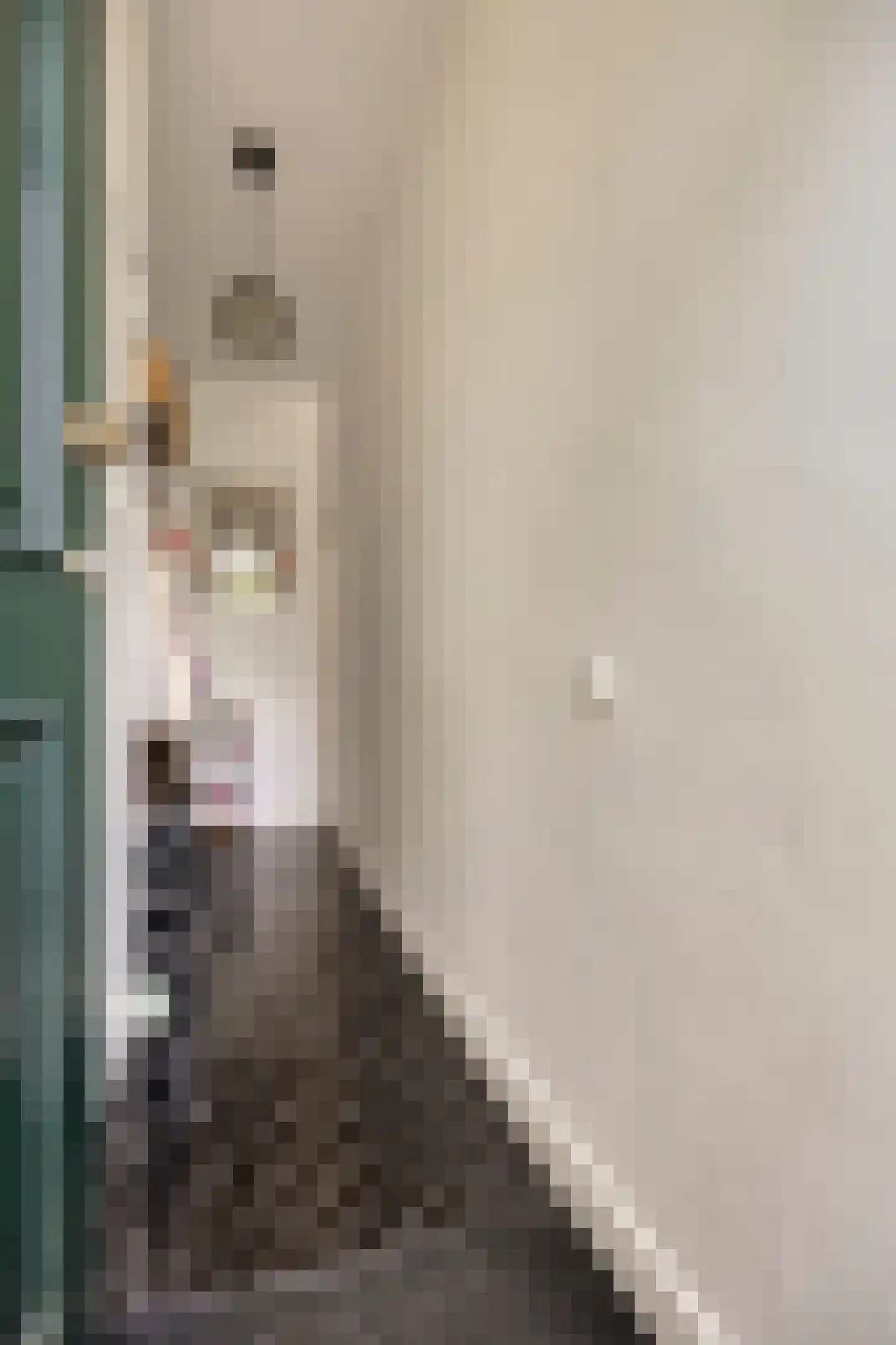 Hoofdstraat 19 Terheijden thumbnail 5