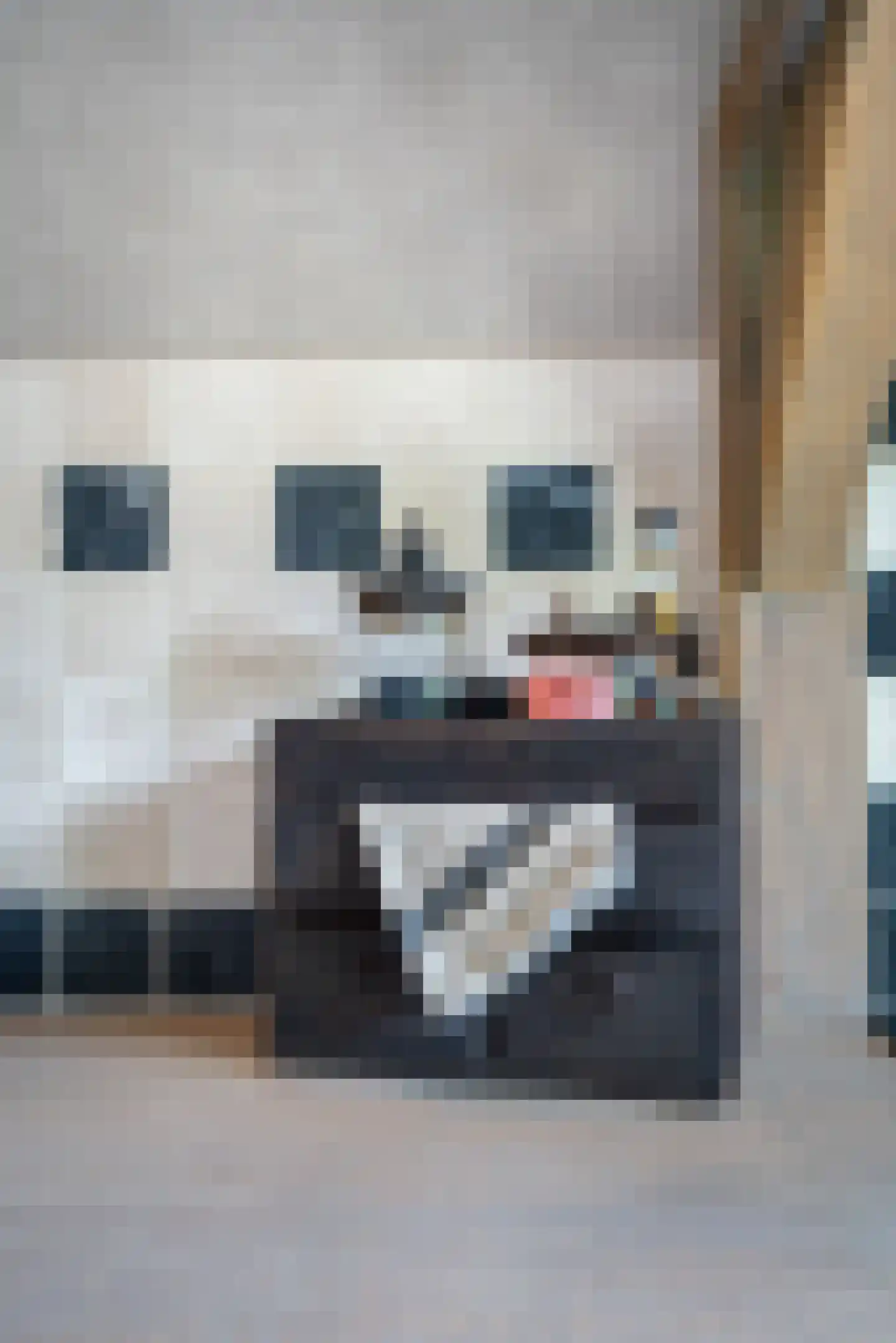 Hoofdstraat 191 Epe thumbnail 10