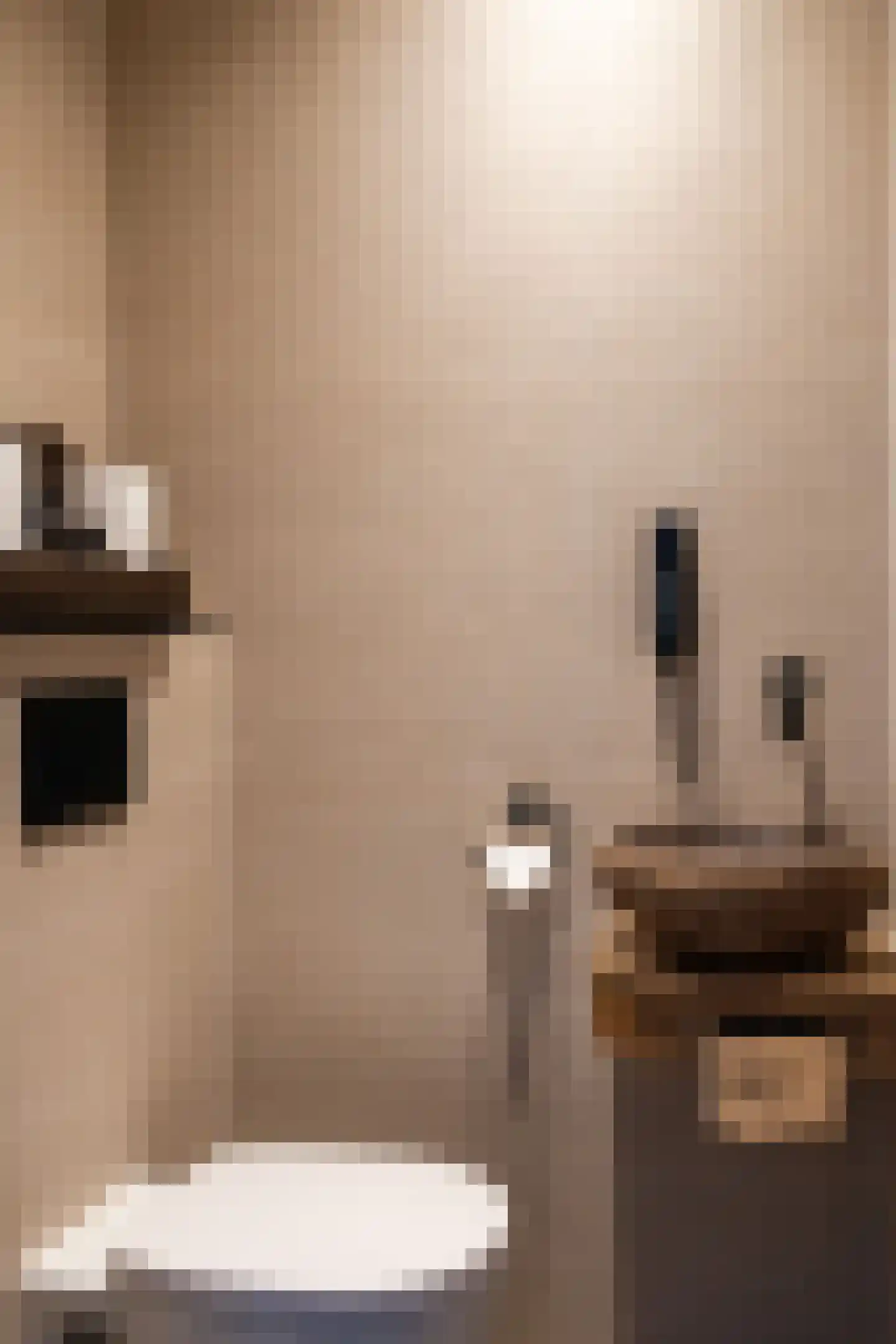 Hoofdstraat 191 Epe thumbnail 27