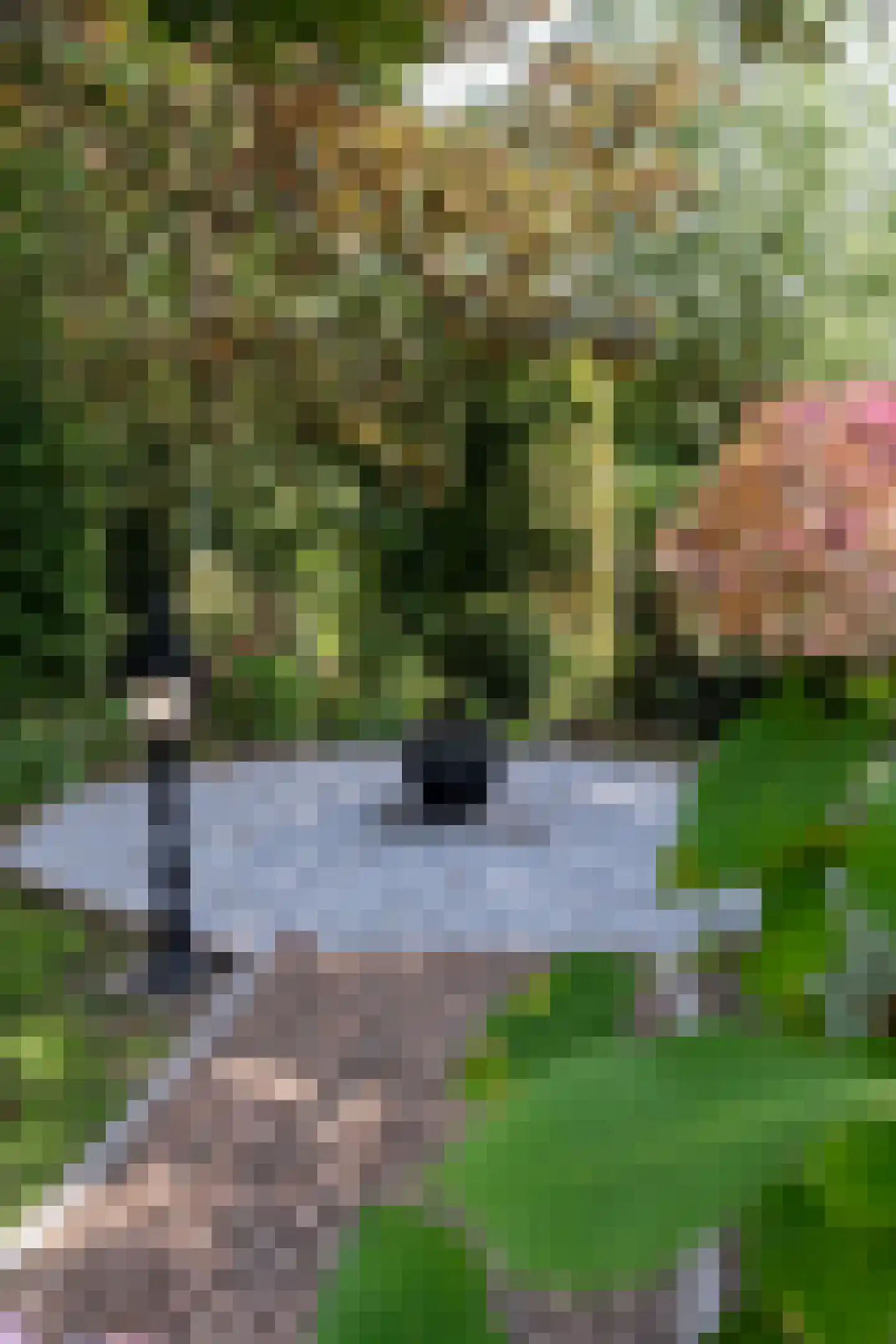 Hoofdstraat 191 Epe thumbnail 38