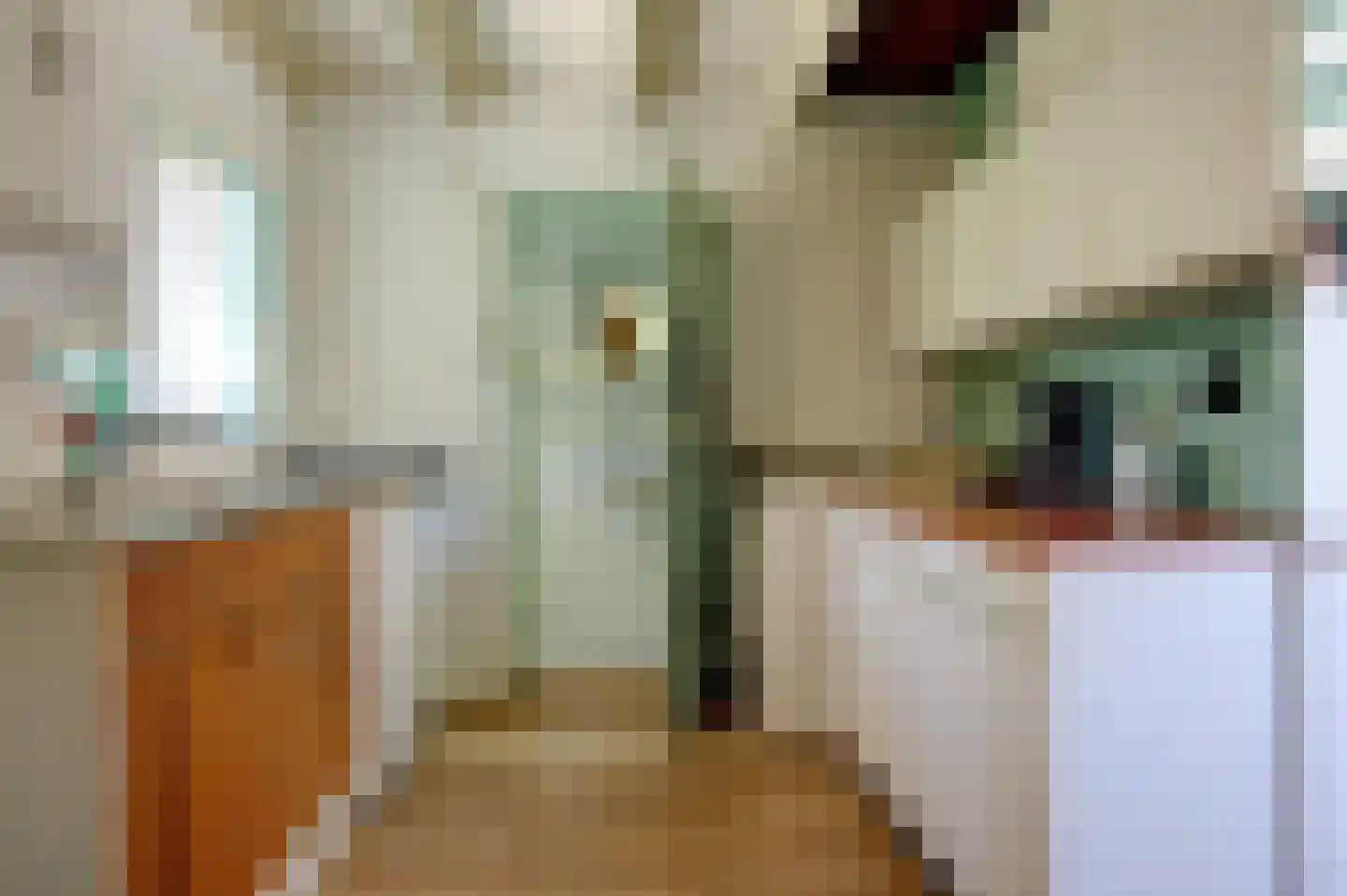 Hoofdstraat 192 Lettelbert thumbnail 11