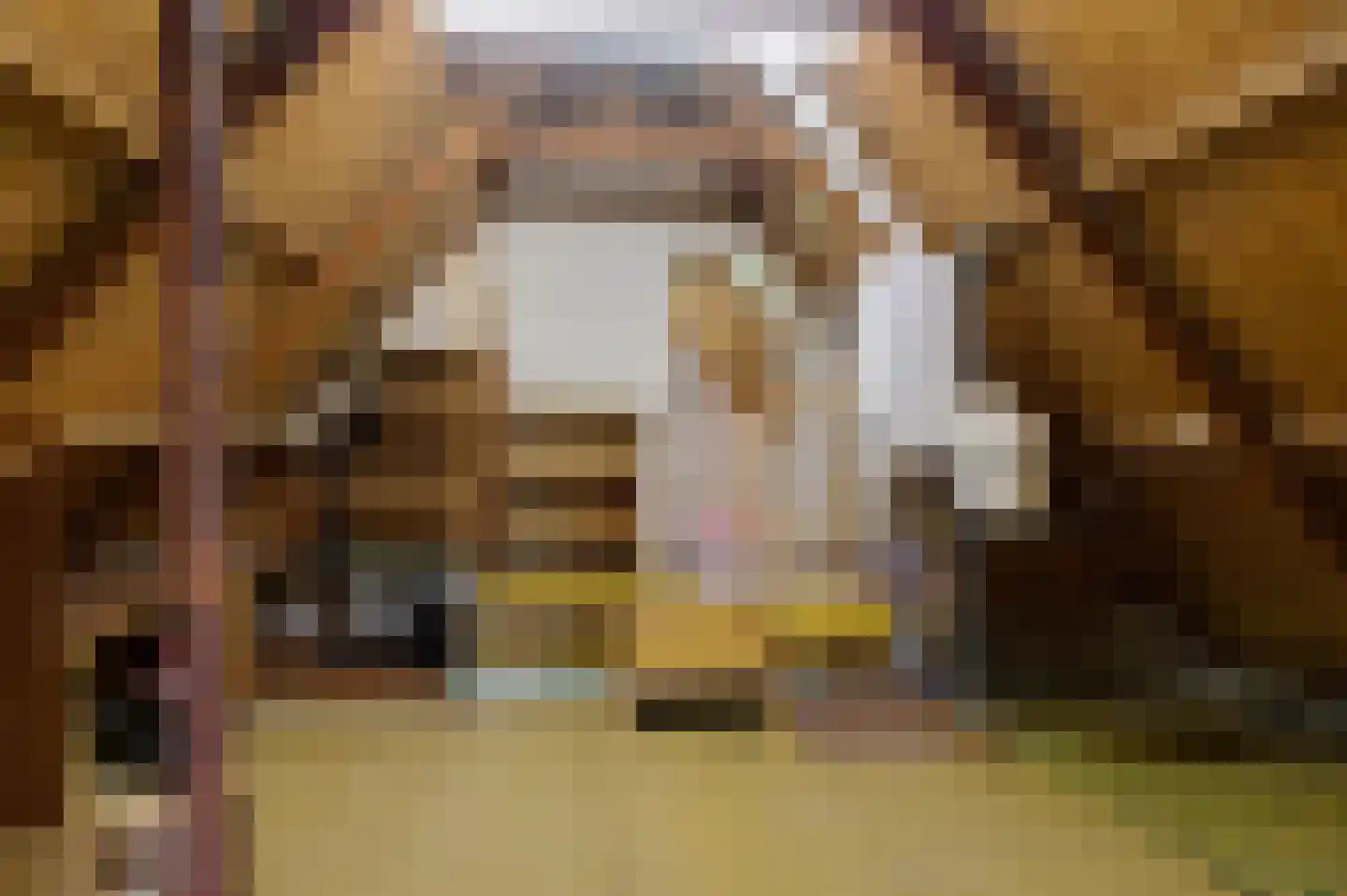 Hoofdstraat 192 Lettelbert thumbnail 19