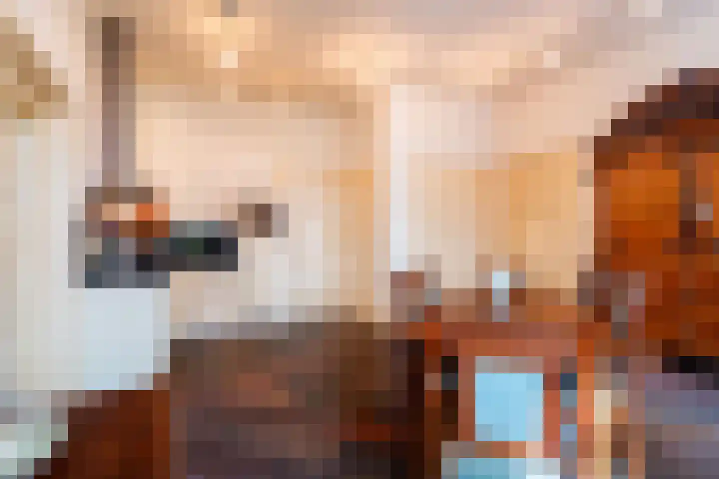 Hoofdstraat 199 Beerta thumbnail 20