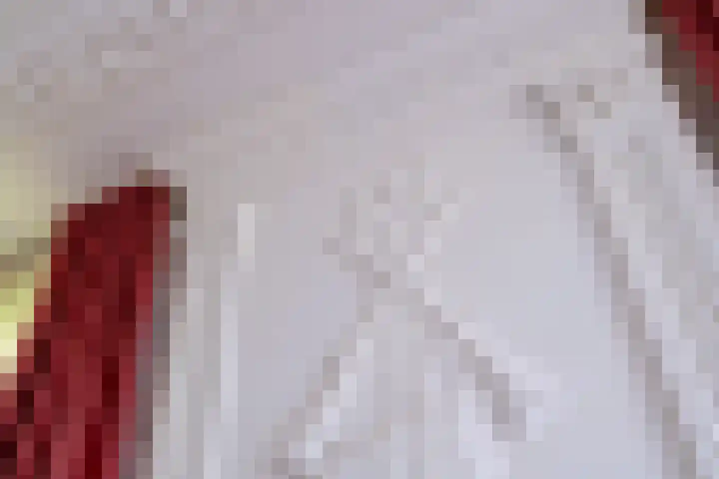 Hoofdstraat 199 Beerta thumbnail 26