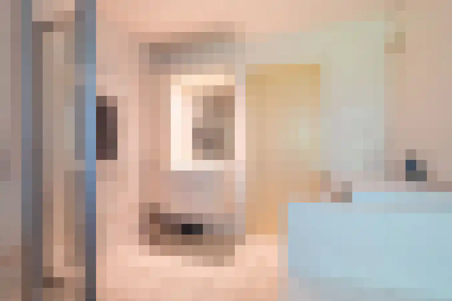 Hoofdstraat 199 Beerta thumbnail 30