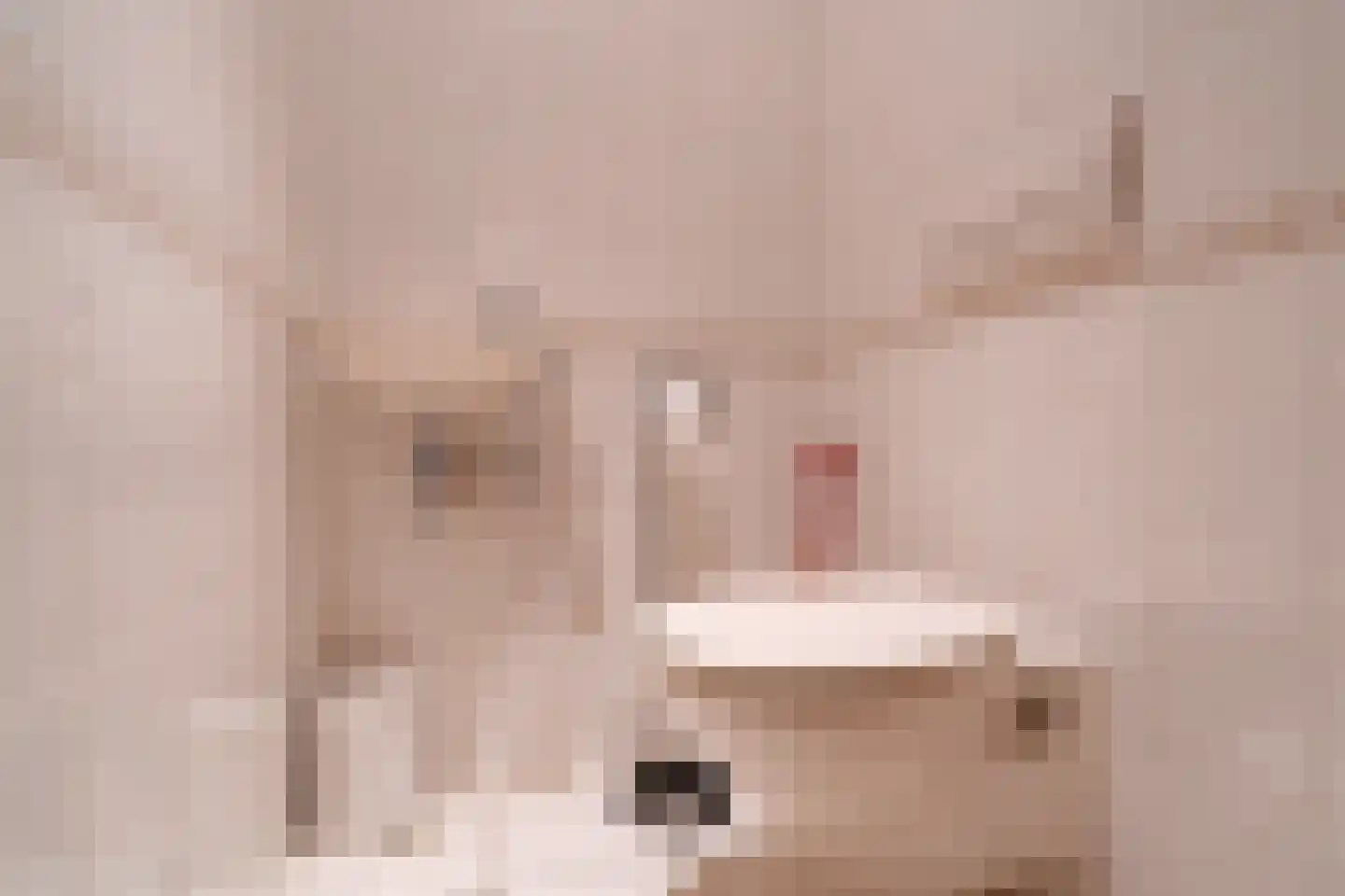 Hoofdstraat 199 Beerta thumbnail 33