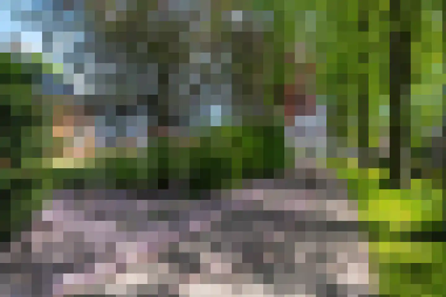 Hoofdstraat 199 Beerta thumbnail 43