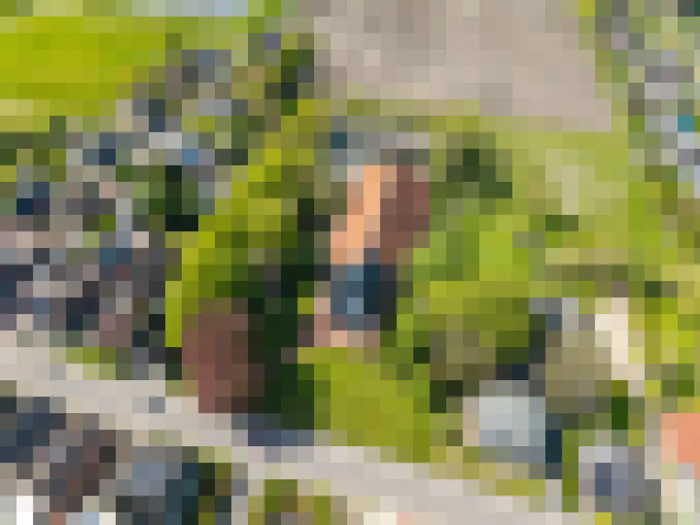 Hoofdstraat 199 Beerta thumbnail 50