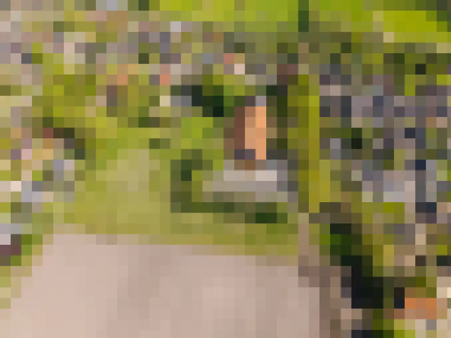 Hoofdstraat 199 Beerta thumbnail 52