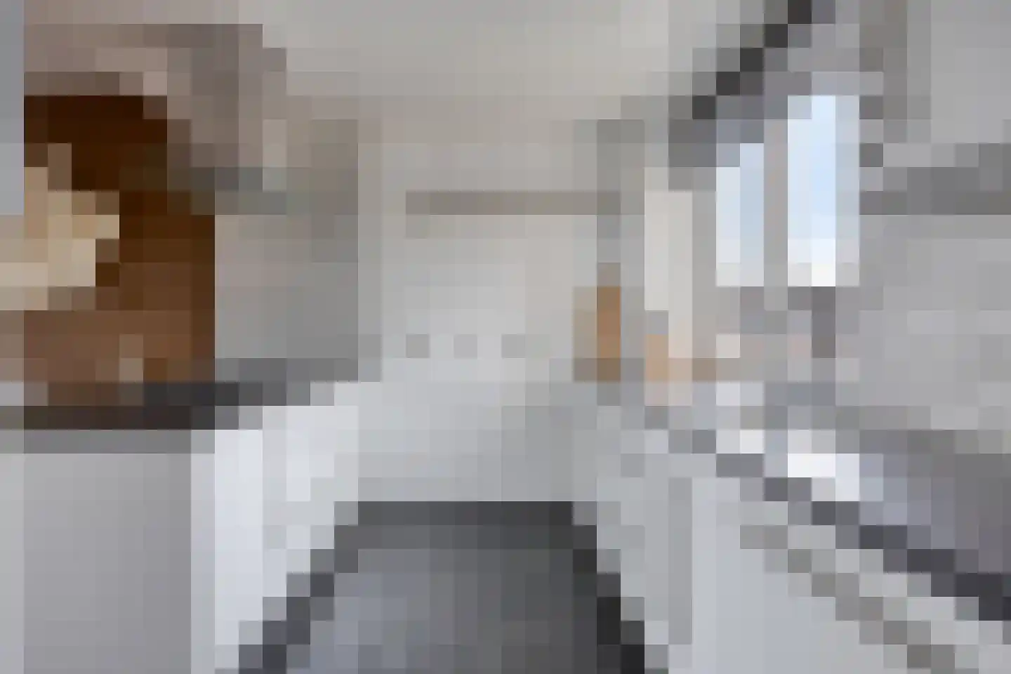 Hoofdstraat 199 Krimpen aan de Lek thumbnail 11
