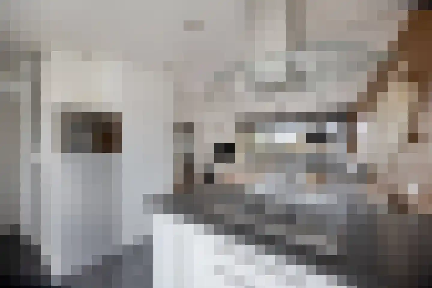 Hoofdstraat 199 Krimpen aan de Lek thumbnail 12