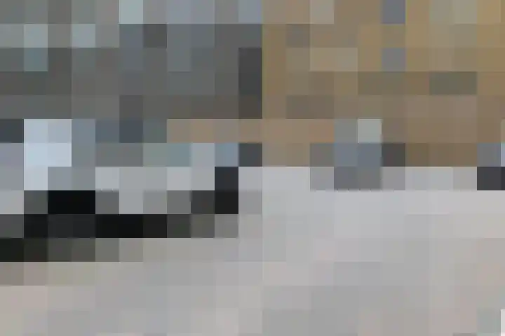 Hoofdstraat 2 A Apeldoorn thumbnail 27
