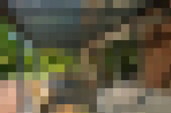 Hoofdstraat 2 C Borger thumbnail 29