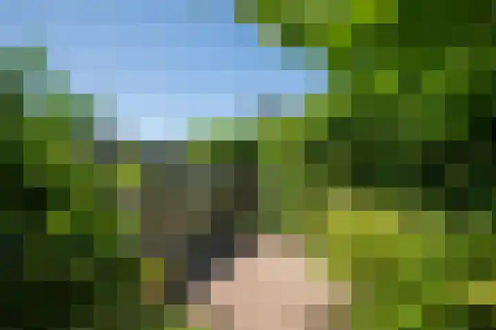 Hoofdstraat 2 C Borger thumbnail 31