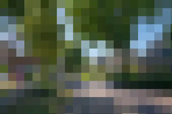 Hoofdstraat 2 C Borger thumbnail 34