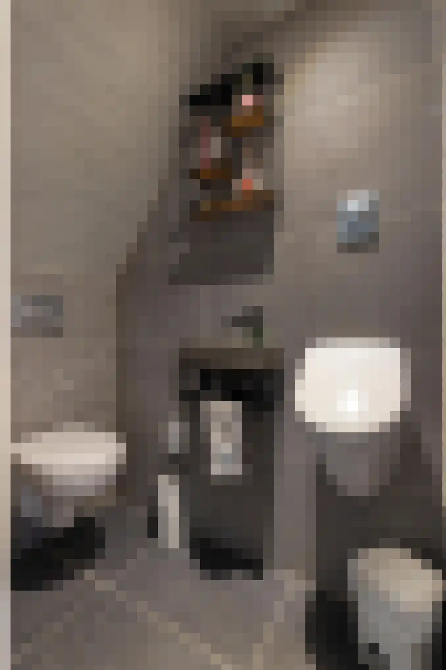 Hoofdstraat 2 Ekehaar thumbnail 13