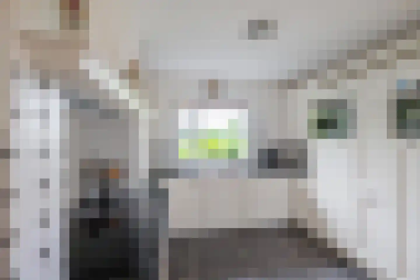 Hoofdstraat 2 Ekehaar thumbnail 23